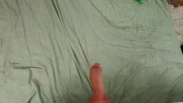 mirida_fox